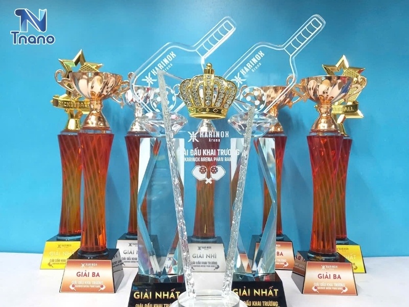 Cúp giải Pickleball giá bao nhiêu?