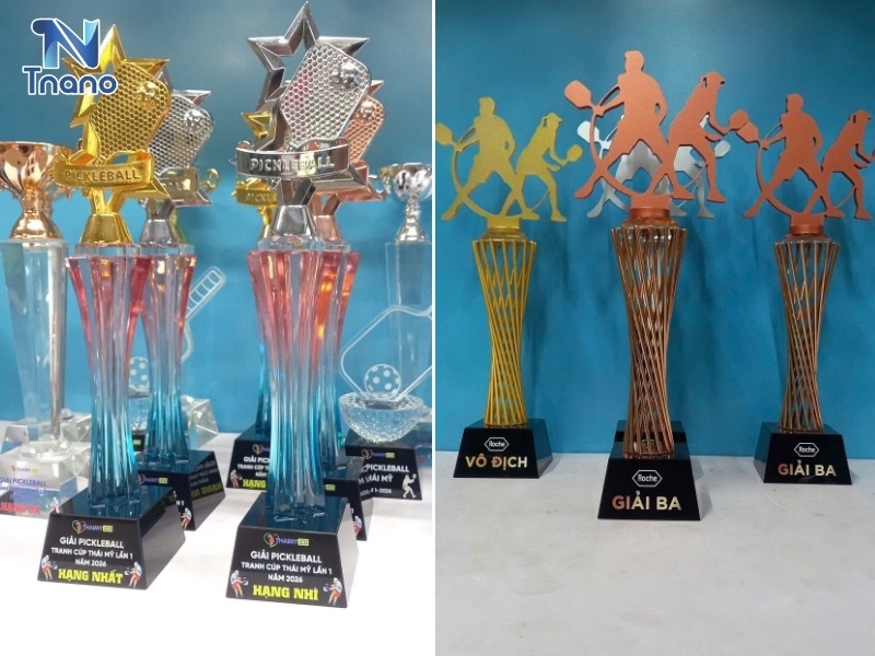 Ý nghĩa của cúp giải Pickleball