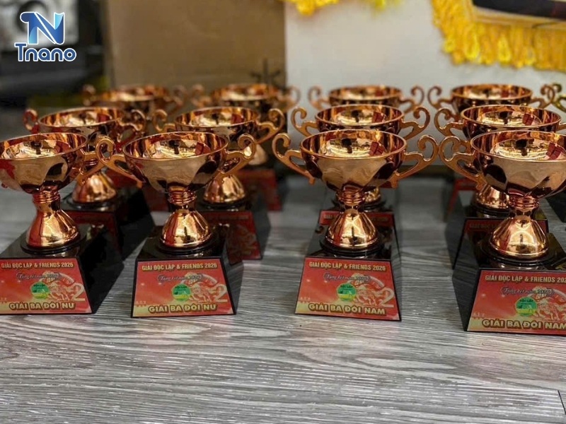 Cúp giải Pickleball dùng cho giải đấu nào?